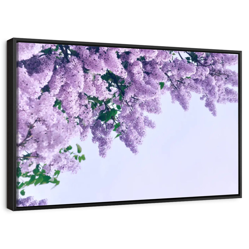 Délicats lilas mauves, Cadre flottant noir, 40 po x 27 po