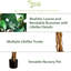 Faux Ficus Tree in Planter-48936679