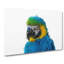 Macaw Parrot - Wrapped Canvas Painting-55365317