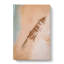 Shipwreck Beach In Australia - Wrapped Canvas-55318313