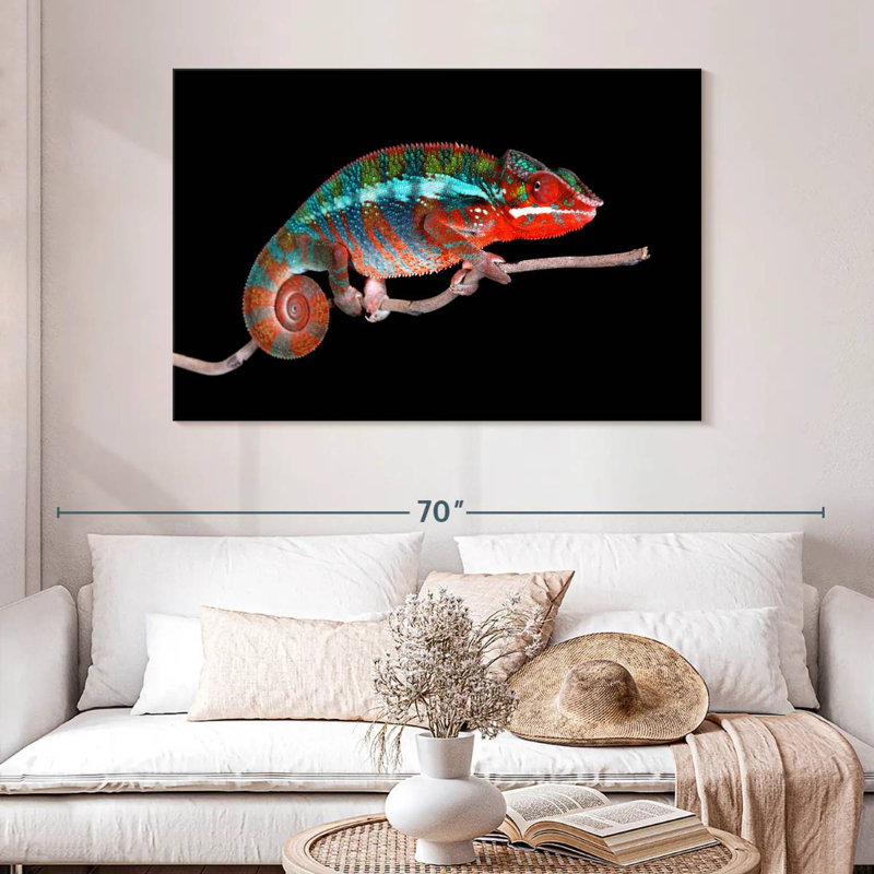 Caméléon panthère mâle, H 8 po x l 12 po