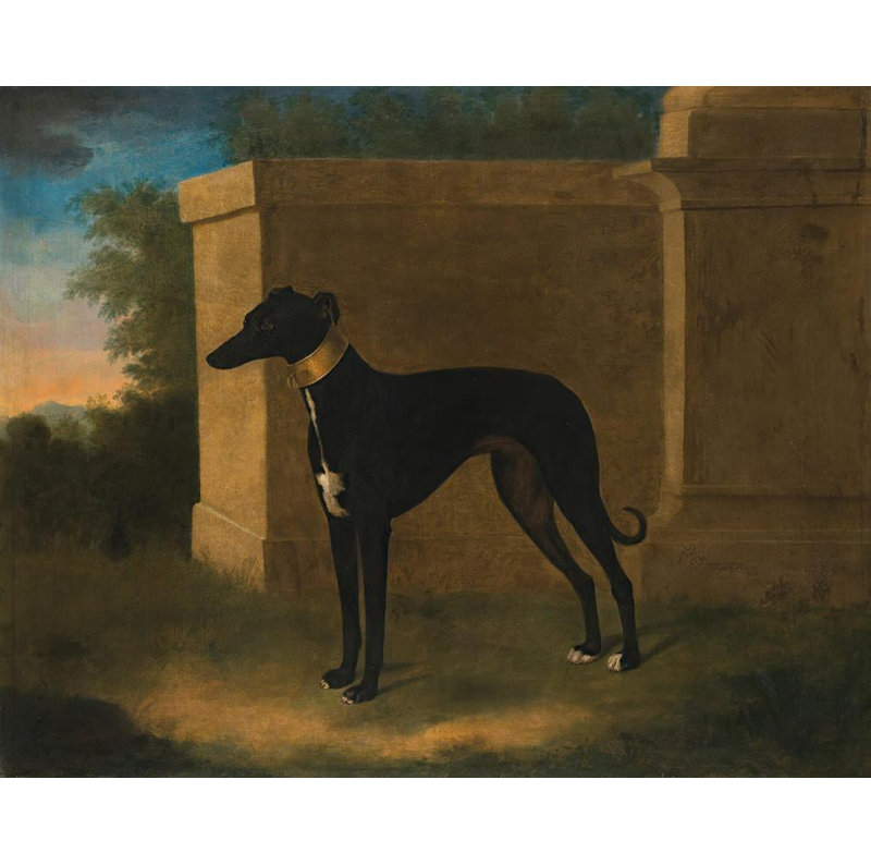 «Portrait of a Greyhound, Called Pompon» par John Wootton - Art mural sur toile tendue avec châssis, H 17 po x l 24 po