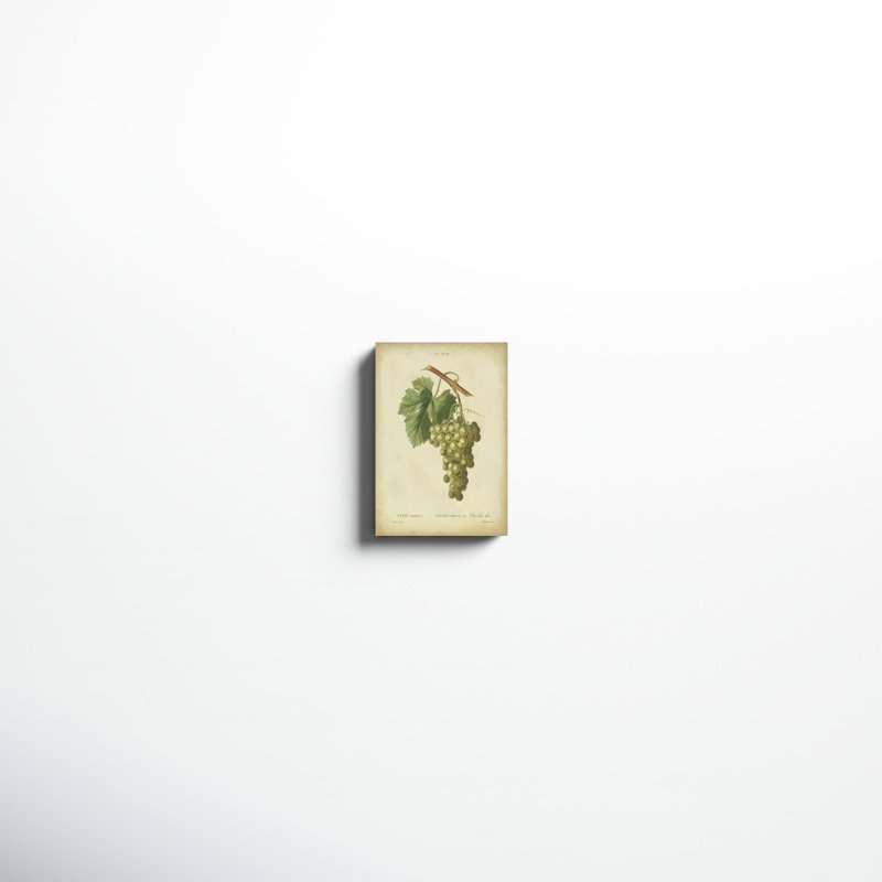 Antique Bessa Grapes II, peinture sur toile, H 12 po x l 8 po