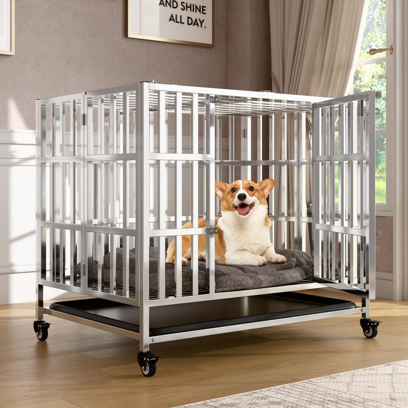 Stainless Steel Dog Cage & Playpen, Small (30.2" H x 35.2" W x 37" D)