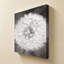 Dandelion Seedhead par Alan Majchrowicz - Impression sur toile-130879672
