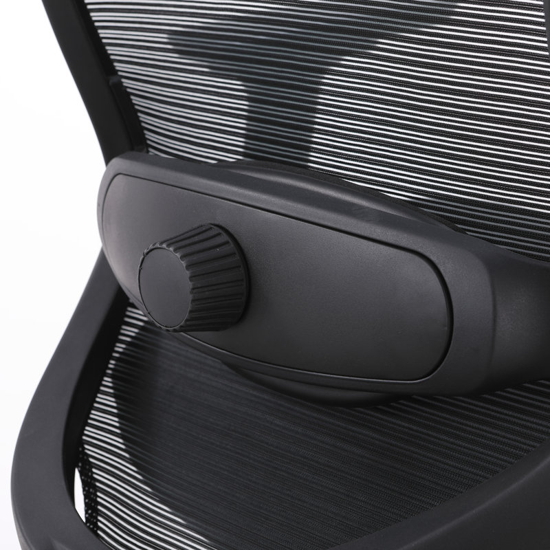 Fauteuil de bureau ergonomique Ingram, Noir
