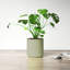 Parsons Handmade Ceramic Pot Planter-1033799154-1033799159