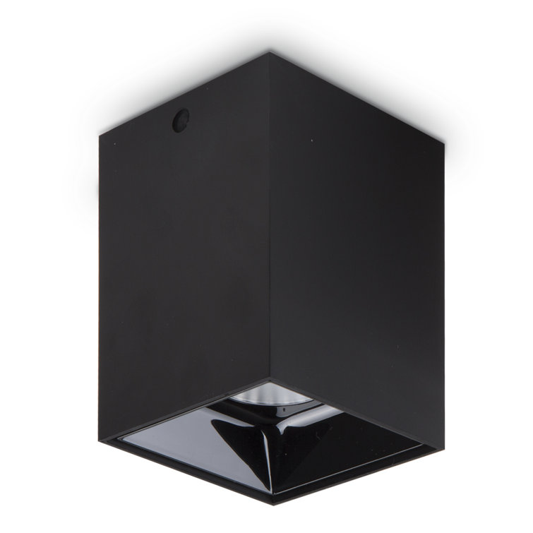 Liyuan LED Flush Mount