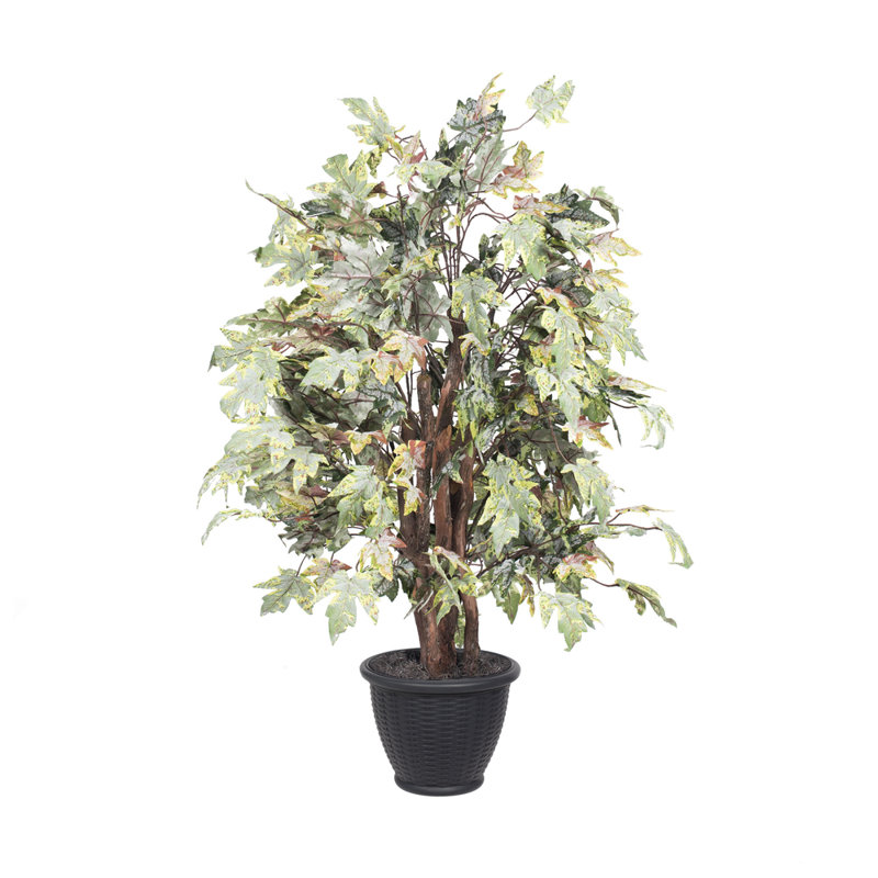 Artificial Frosted Maple Extra Full Series, Gray