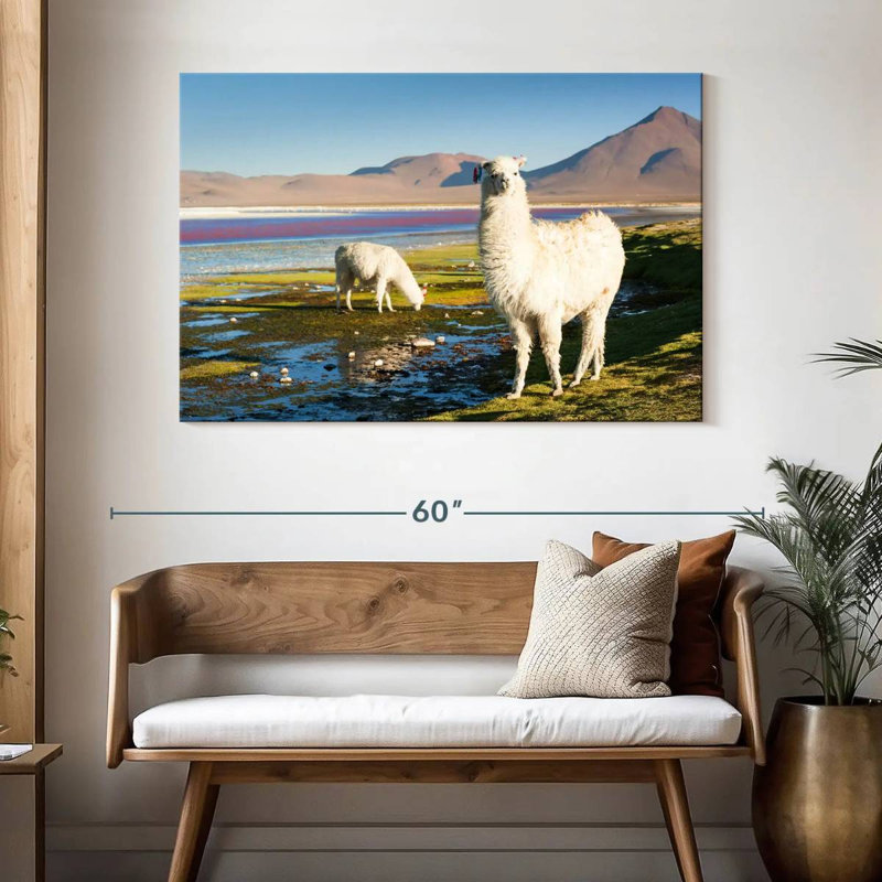 Brampt Laguna Colorada Alpacas, H 32 po x l 48 po
