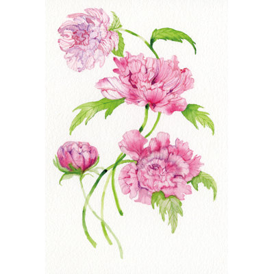 Floral Delight III by Kathleen Parr McKenna - Wrapped Canvas Painting