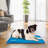 Pet Bed-57111030