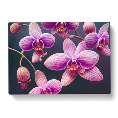 Exceptional Orchid Flowers - Wrapped Canvas