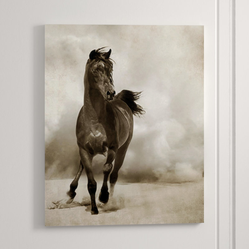 In Desert Storm Print by Sofia Fox, 60" H x 48" W, Glass Coat