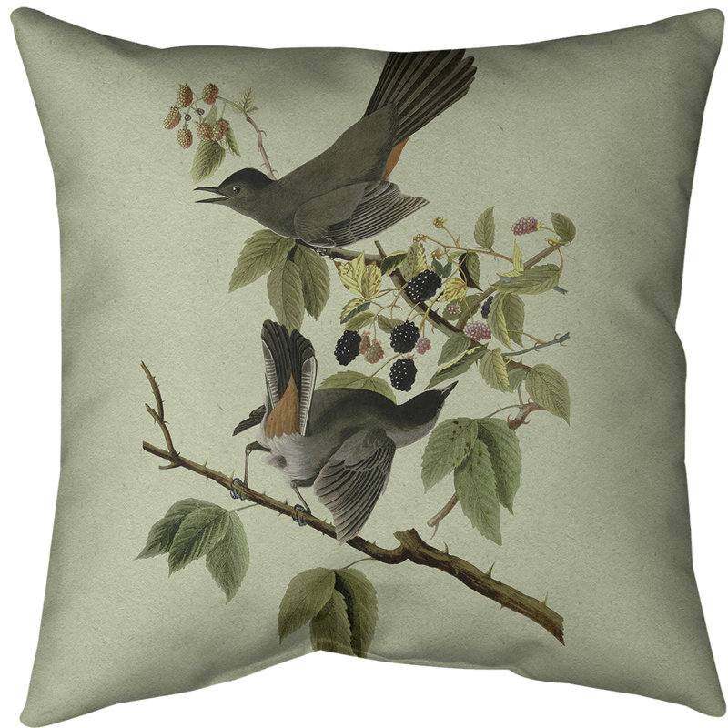 Coussin décoratif à chat oiseau, 20 po x 20 po, Vert, Polyester sergé
