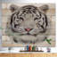 « white bengal tiger », peinture à l’animal-35120451-35120455
