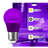 Light Bulbs
