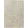 Chayden Area Rug
