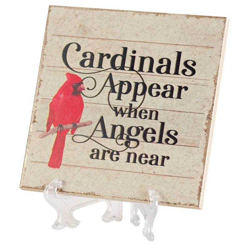 Les cardinaux se présentent lorsque les anges sont ivoire