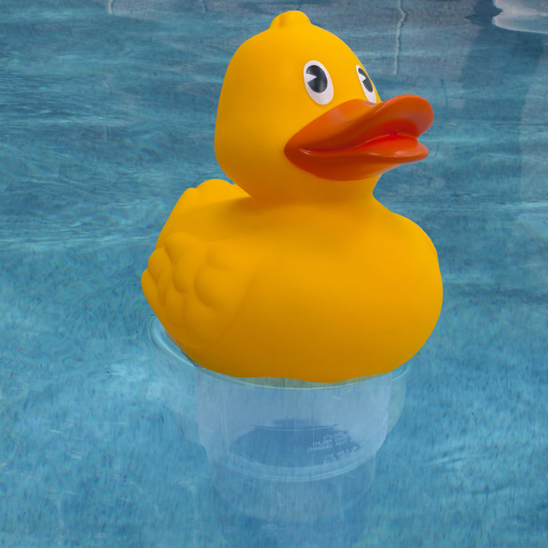 Chlorateur de piscine: petit - canard