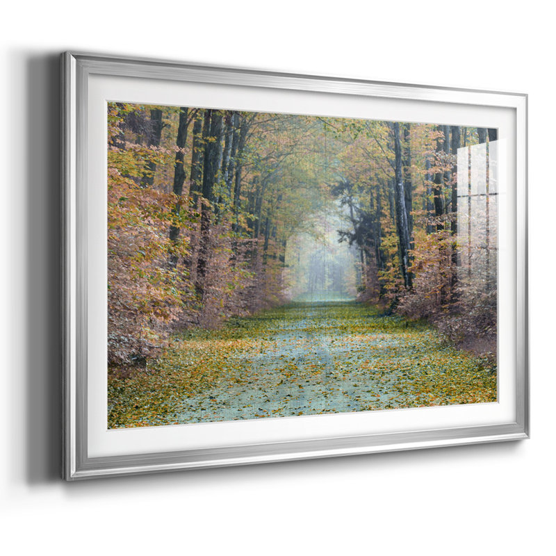 Enchanted Path, reproduction d'art encadrée sur papier, Argent, H 30 po x l 44 po x P 1,5 po