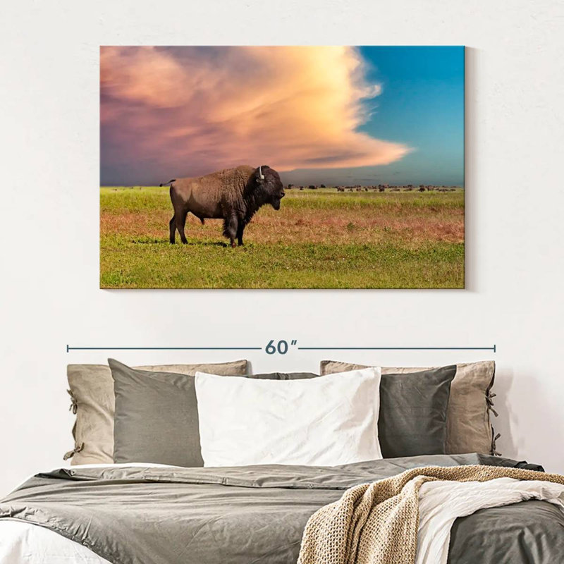 Brampt Badlands Bison, 34" H x 51" W