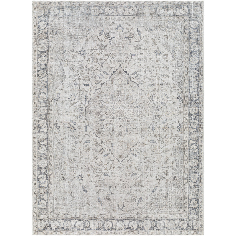 Brackston Light Grey Machine Washable Area Rug, Rectangle 2' x 2'11"