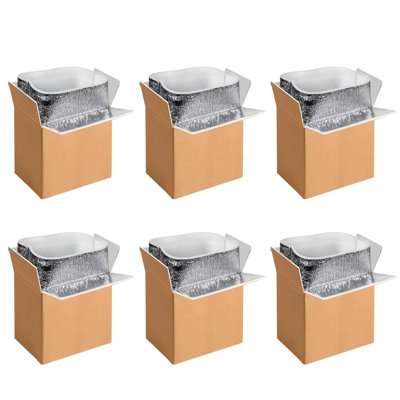  6 Pack 6 Inch x5 Inch x9 Inch Insulated Shipping Boxes with Aluminum Foil Liner,Thermal Insulation Cold Pack Shipping Boxes for Frozen , Reusable Styrofoam Cooler Box, Small Mailing Box