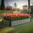 Rectangle Metal Raised Garden Bed ()-350085140-350085141