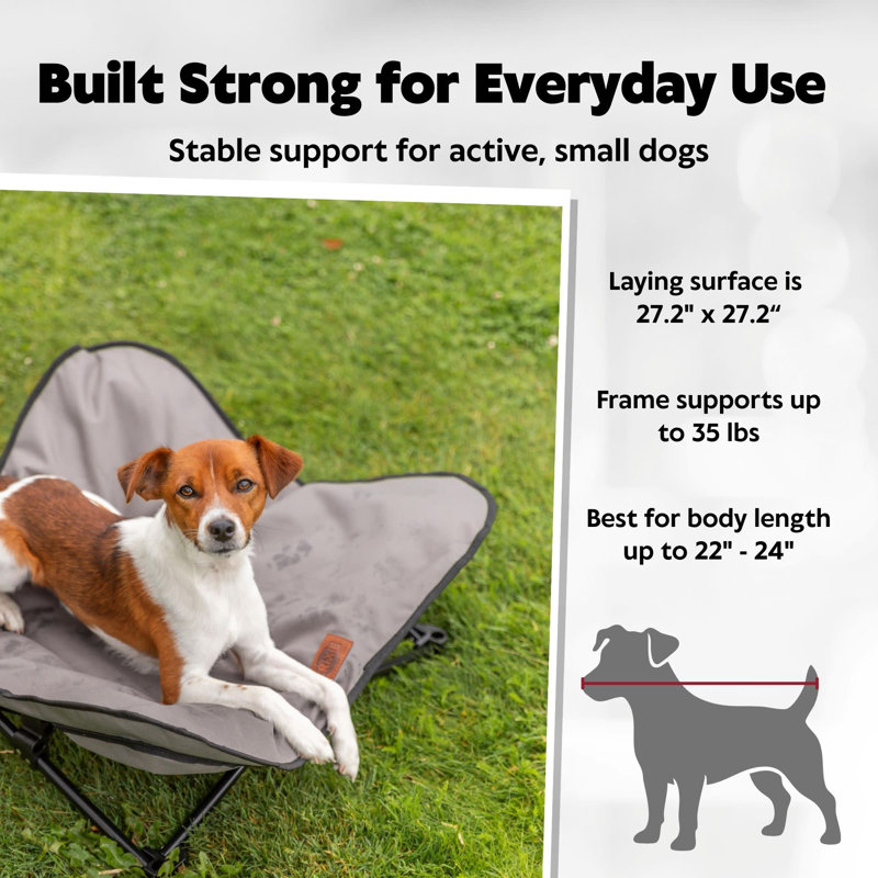 Lit de camp pour les petits chiens de 35 lb ou moins Trixie, H 7,9 po x l 27,2 po x P 27,2 po