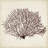 Seaweed Specimens XII by Naomi McCavitt - Wrapped Canvas Drawing-646549920