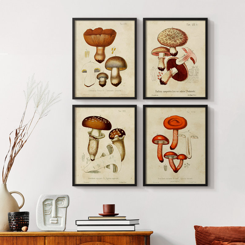 «Mushroom Variétés I», ensemble de 4 encadrées, Noir, H 14 po x l 44 po