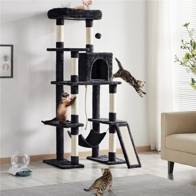 color 160cm H Large Cat Tree with Multi-purpose