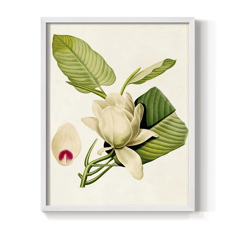 «Magnolia Flowers II», reproduction encadrée - bois massif, H 11 po x l 9 po, Blanc