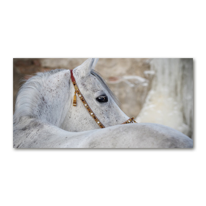 White Arabian Horse - No Frame Print on Canvas