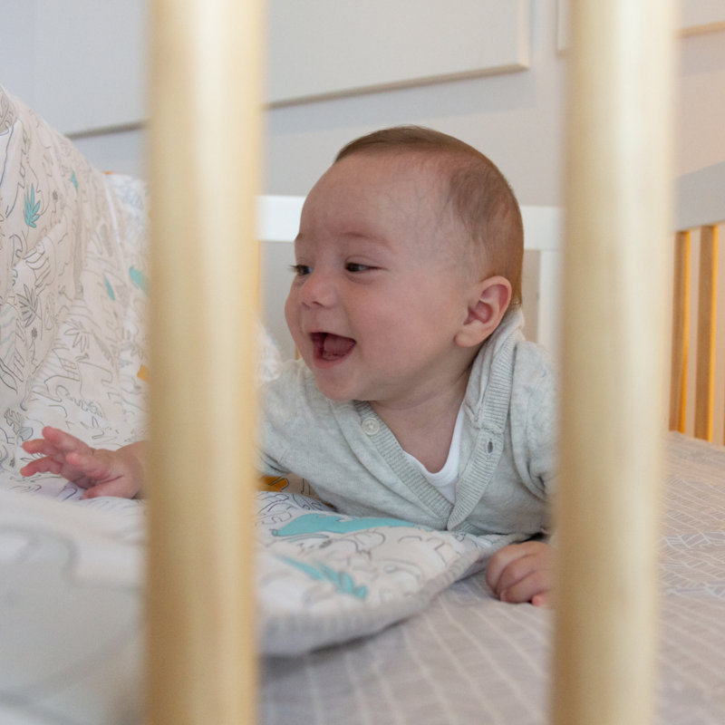 Moritz Animals 100% Cotton - Piece Standard Crib Fitted Sheet