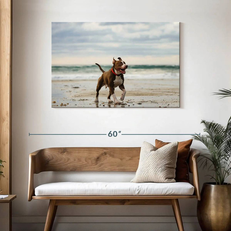 Brampt Pit Bull sur la plage, H 30 po x l 45 po