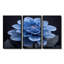 Monochrome Black And Blue Dahlia Bloom - Dahlia Wall Art Set-107163777-107163785