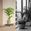 Plateau à plantes