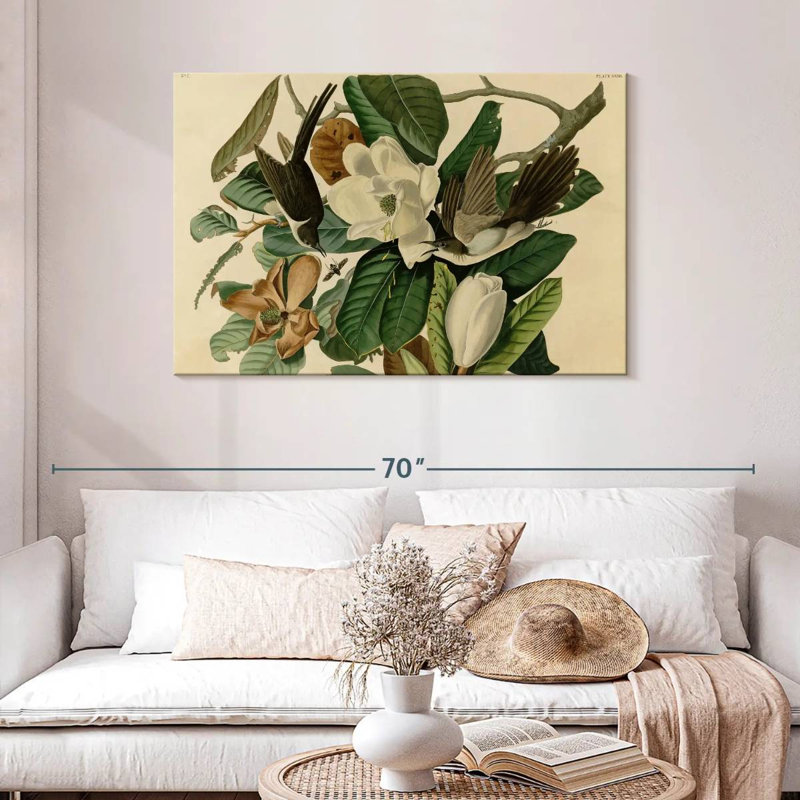 Black-Billed Cuckoo From Birds Of America, H 30 po x l 45 po
