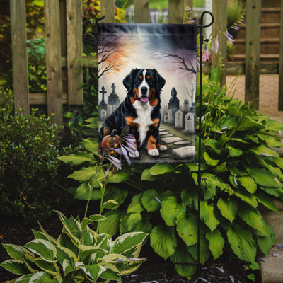 Double Sided 15.5'' H x 11.25'' W Polyester Halloween Garden Flag