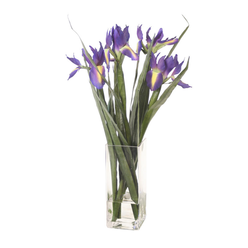 Bleu / mauve / iris
