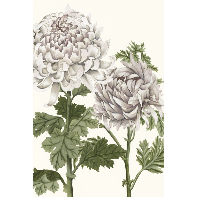 Early Spring Chrysanthemums III, 46cm H x 30cm W