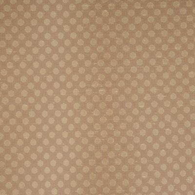 Dream Fabric