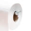Wall Mounted Toilet Paper Holder