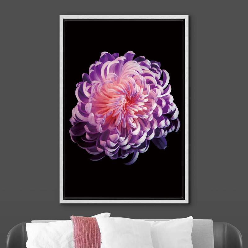 «A Delicate Blooming Chrysanthemum With Many Petals» - Photographie à cadre flottant sur toile, H 24 po x l 16 po x P 1,5 po