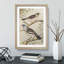 Two Birds on Branches by Theo Van Hoytema - Framed Print-62792964-62792965