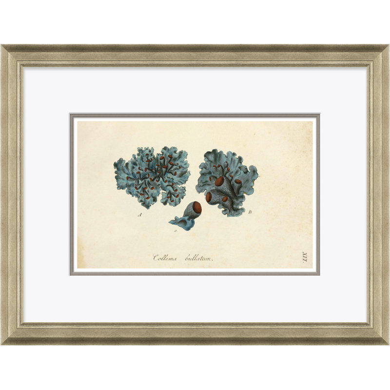 «Blue Coral» par Paul Cezanne - cadre photo, impression sur papier