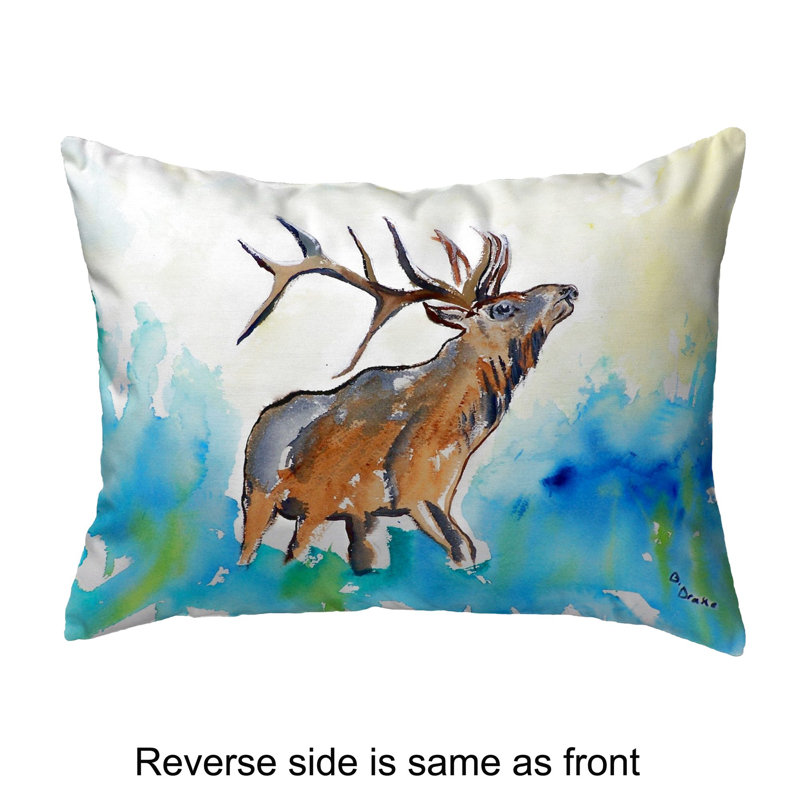  Housse et insert de coussin rectangulaire intérieur / extérieur Elk, H 11 po x l 14 po
