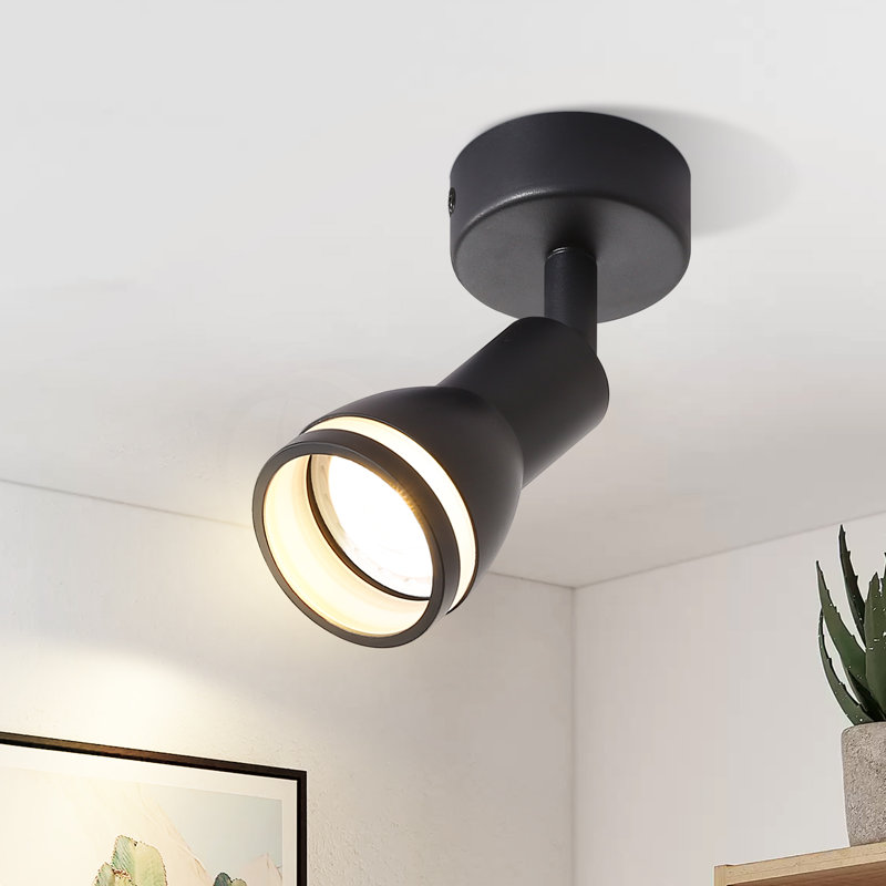 Rhandi Acrylic and Iron Spotlight, Matte Black, Matte Black